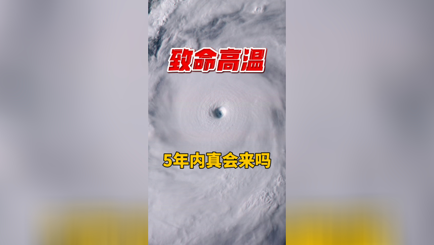 摘野艾草做青团,澳门免费资料金牛版大全,精准解释落实的人生哲理_钱包版V5.57