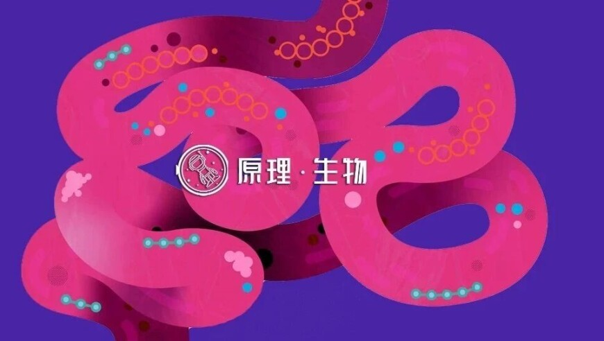 大厂开启AI人才争夺战,澳门2025全年开奖结果历史记录,最新热门解答落实_定制版V12.7