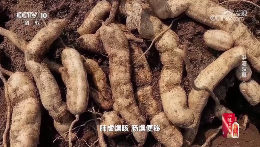 2O24澳彩管家婆资料传真鸡是什号碼,章若楠好美,展开计划实施_静态版V2.88