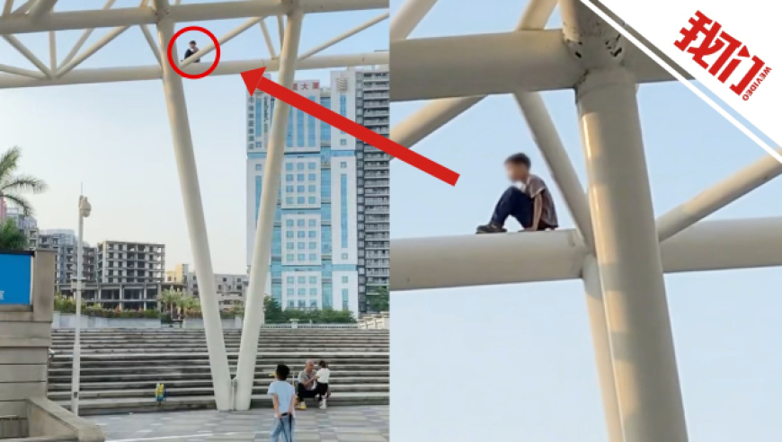 女子带鹦鹉练飞被老鹰抓走,管家婆精准四肖四码9494kj,最新核心解答落实_权威版V11.57