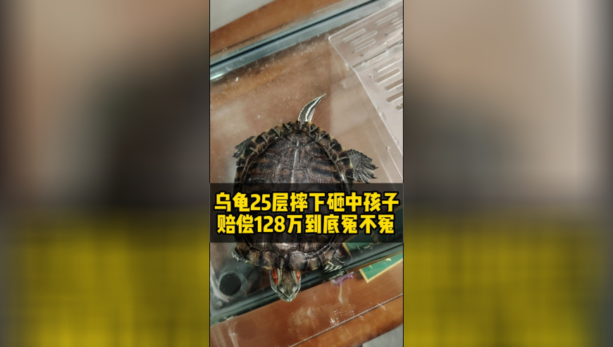 人过三十难以共鸣哪吒,澳门资料全年资料免费大全资料打开,经济性执行方案剖析_精英版V9.84